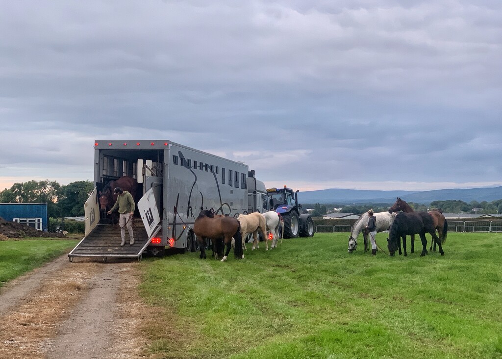 Unloading by happypat