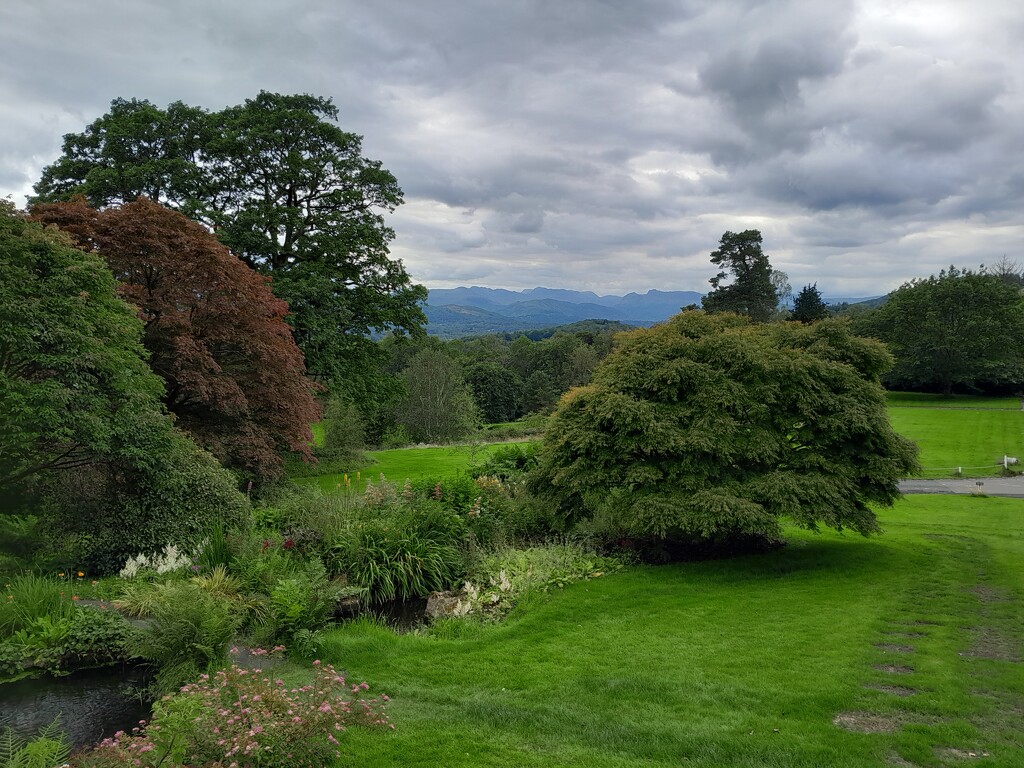 view to the Langdale Pikes by anniesue