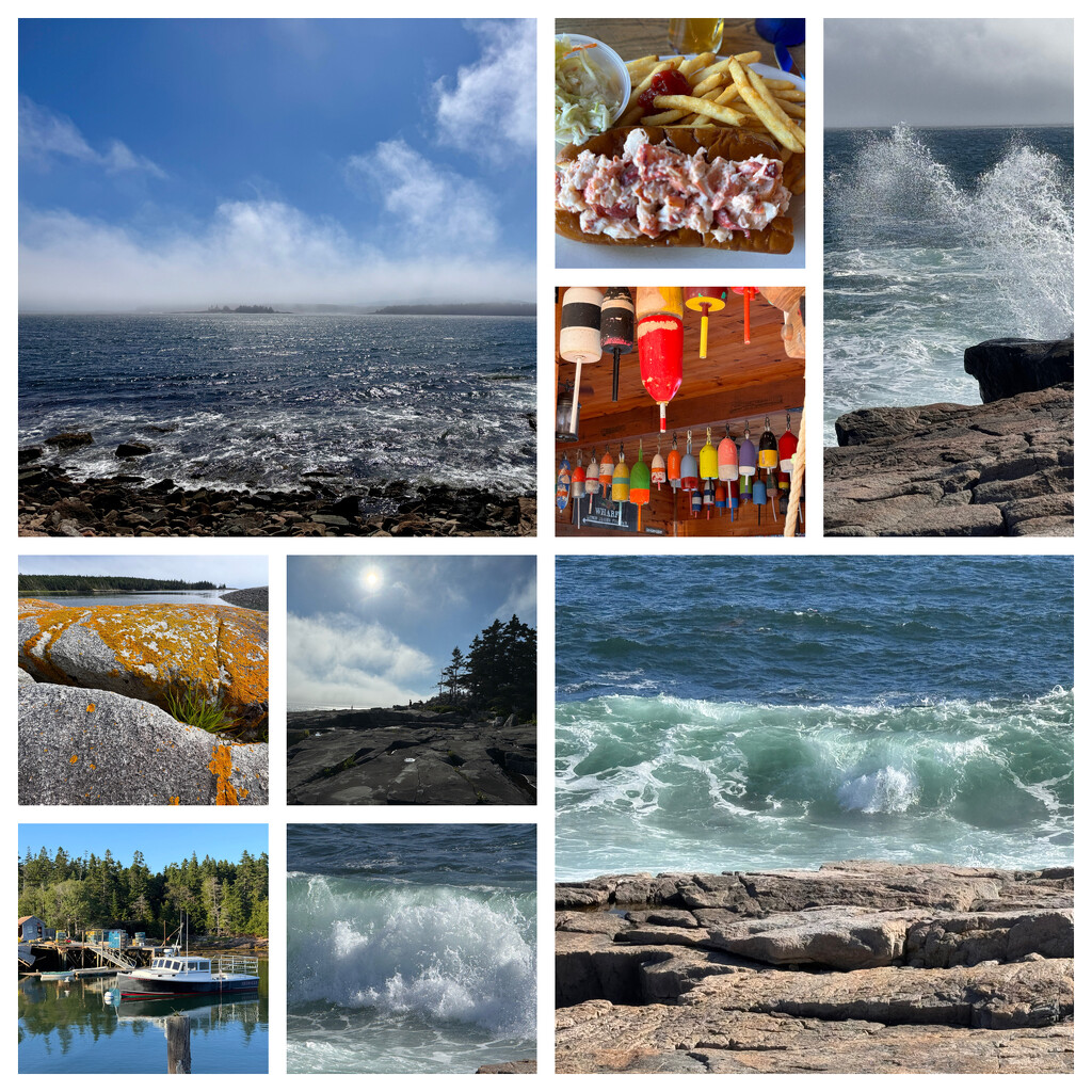 Acadia National Park, Schoodic Peninsula,Day14 by berelaxed