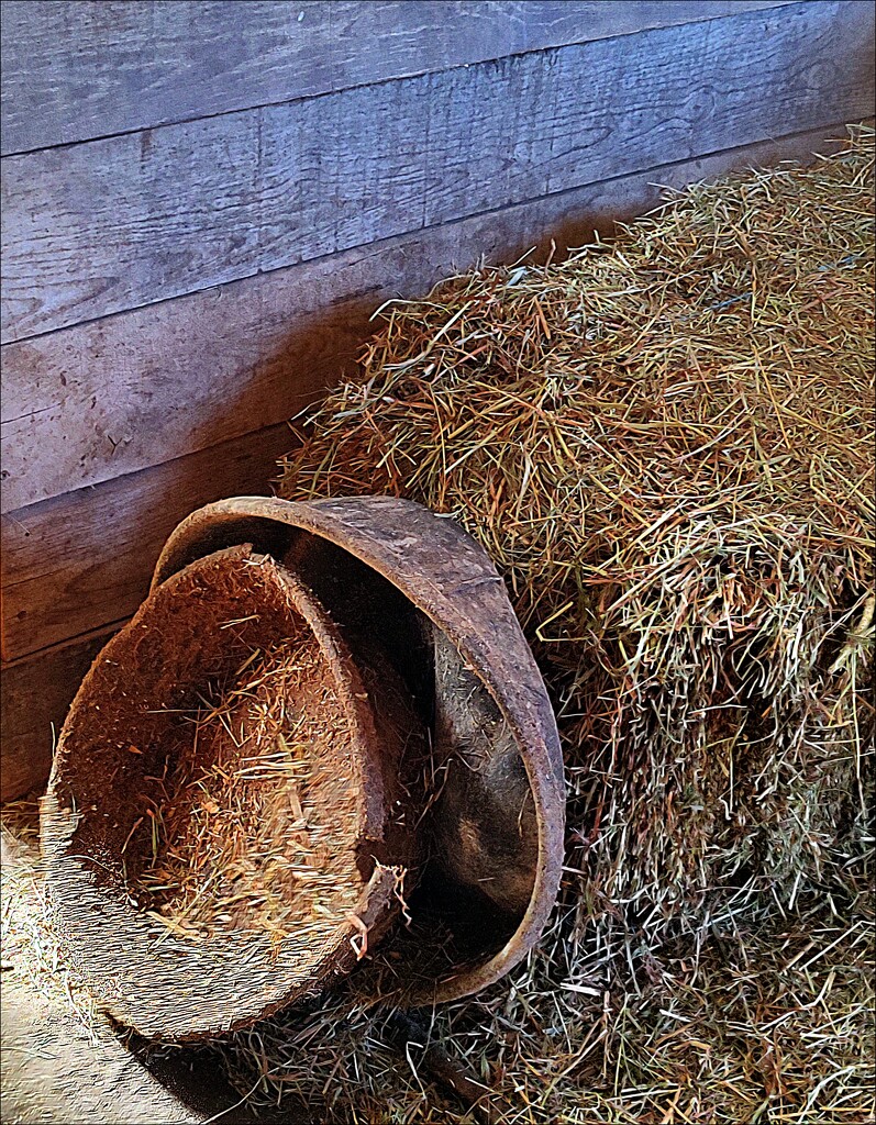 Buckets and Hay by olivetreeann