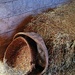 Buckets and Hay by olivetreeann