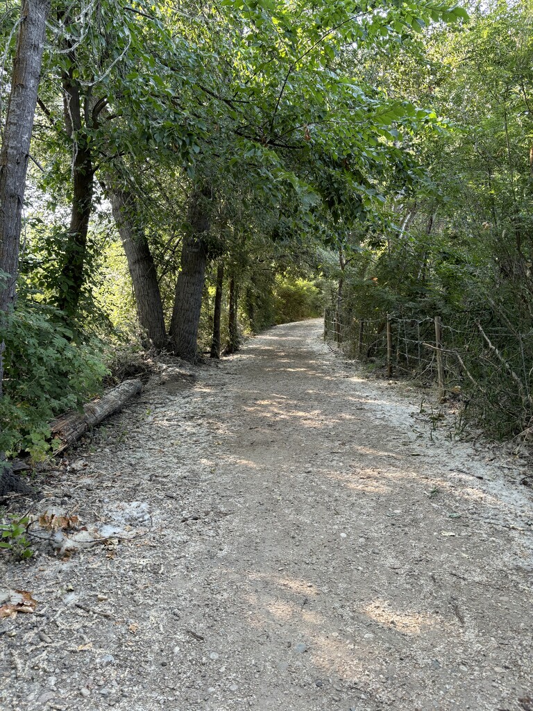 Greenbelt path by pirish