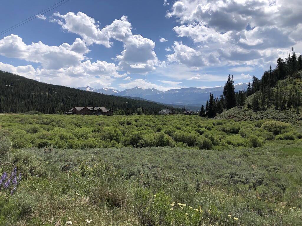 Colorado Hiking by loweygrace