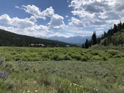 12th Jul 2024 - Colorado Hiking