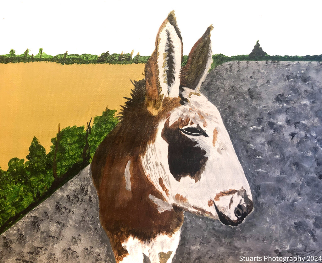 Donkey (painting) by stuart46