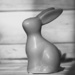 Bunny B&W 5 by mdry