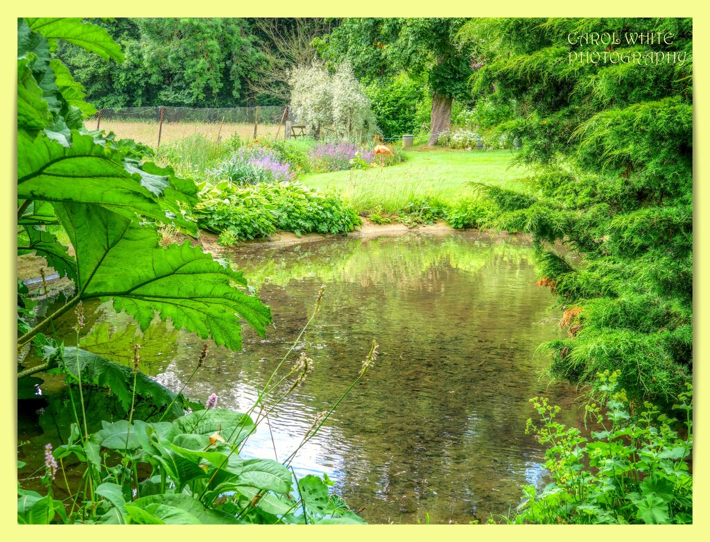 The Little Pond by carolmw