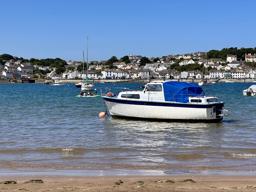 Across to Appledore by pamknowler