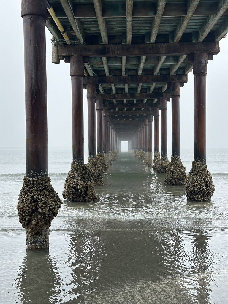 Under the pier by pandorasecho