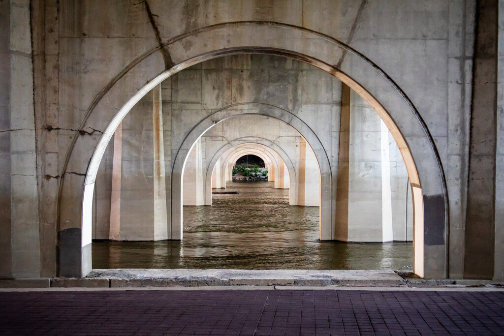 Under the bridge, at sunset by batfish