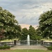 Hampton Park crepe myrtles in bloom by congaree