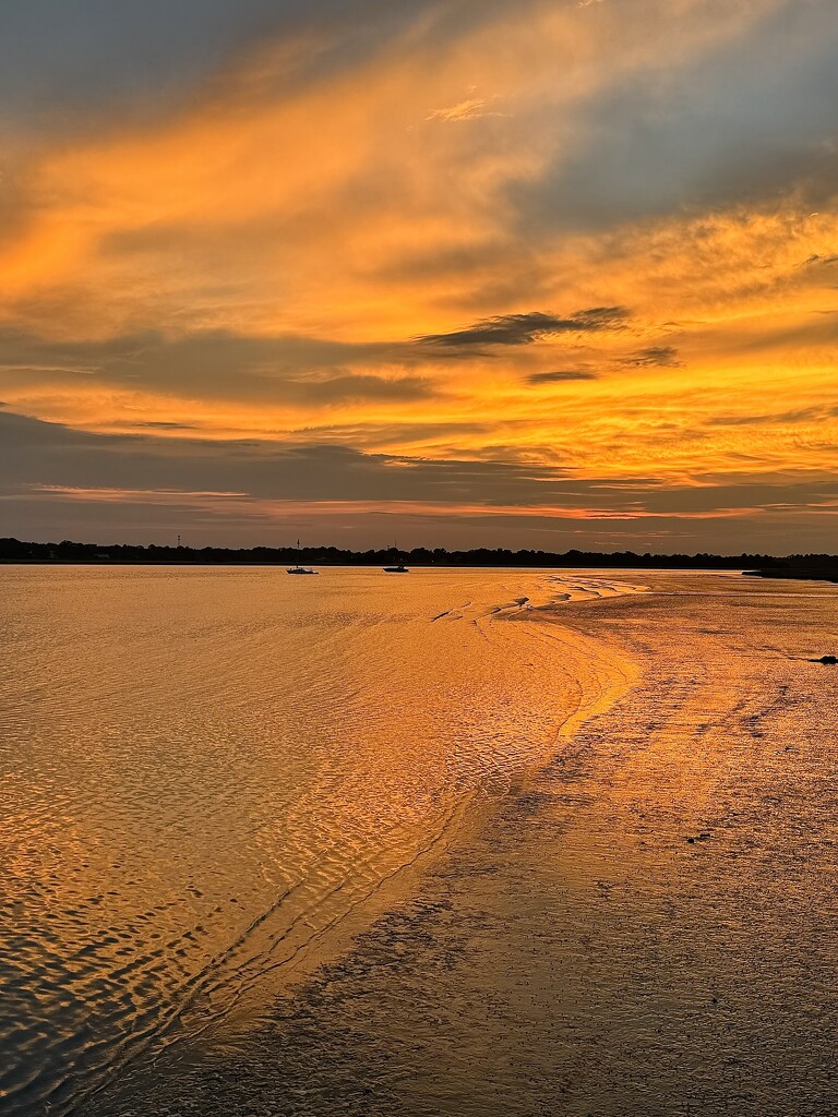 Sunset over the Ashley River and marshes at low tide. by congaree