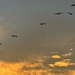 Sunset pelicans by congaree