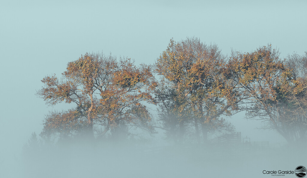 standing above the fog  by yorkshirekiwi