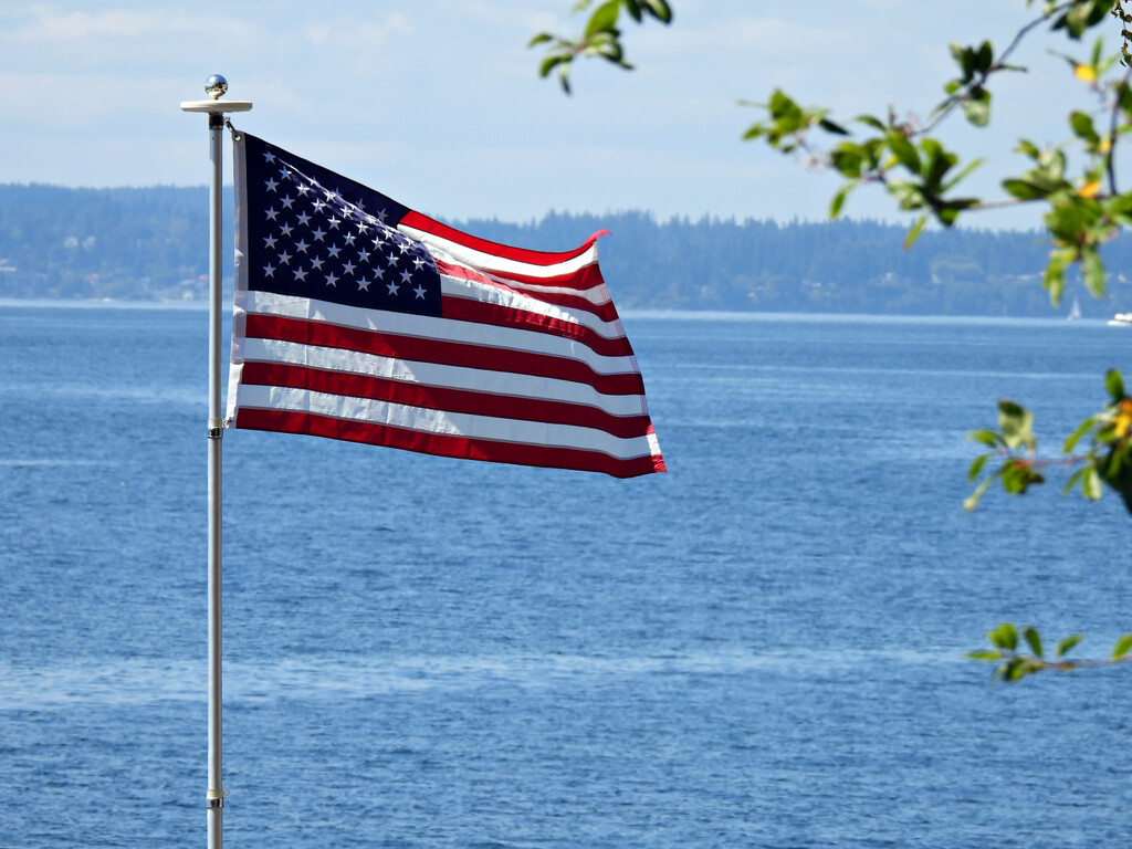 "Old Glory" by seattlite