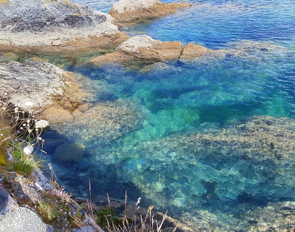 Clear  waters....... by cutekitty