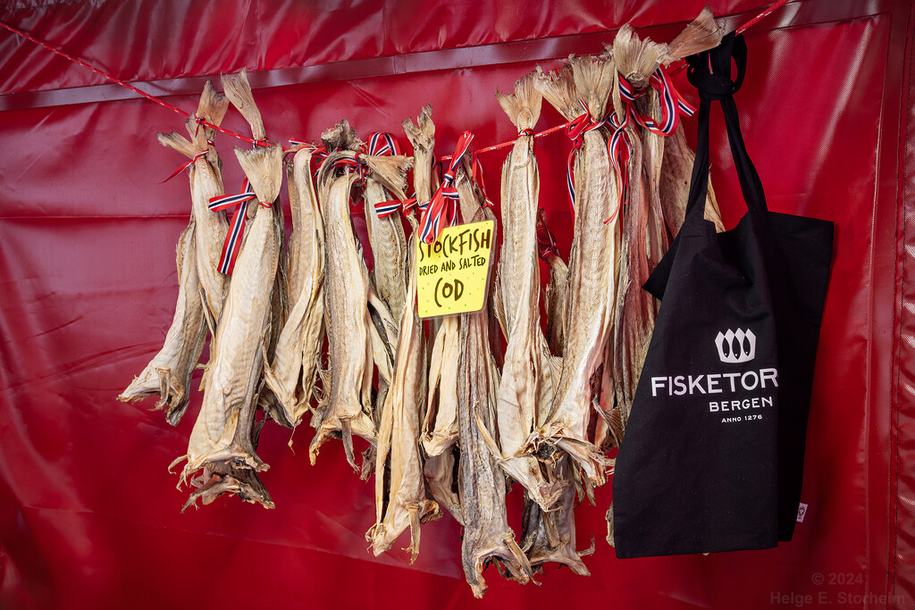 Stockfish by helstor365