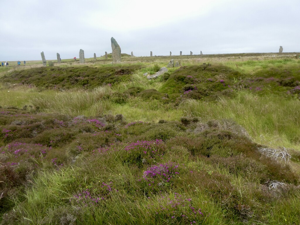 Ring of Brodgar by orchid99