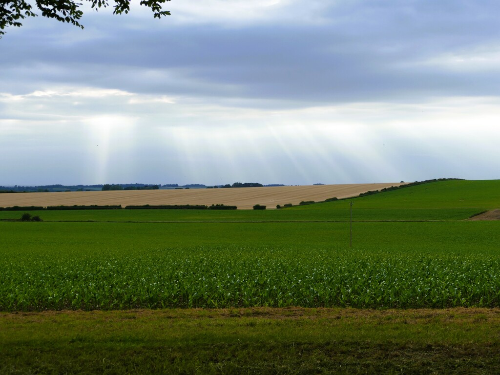 sun rays by cam365pix