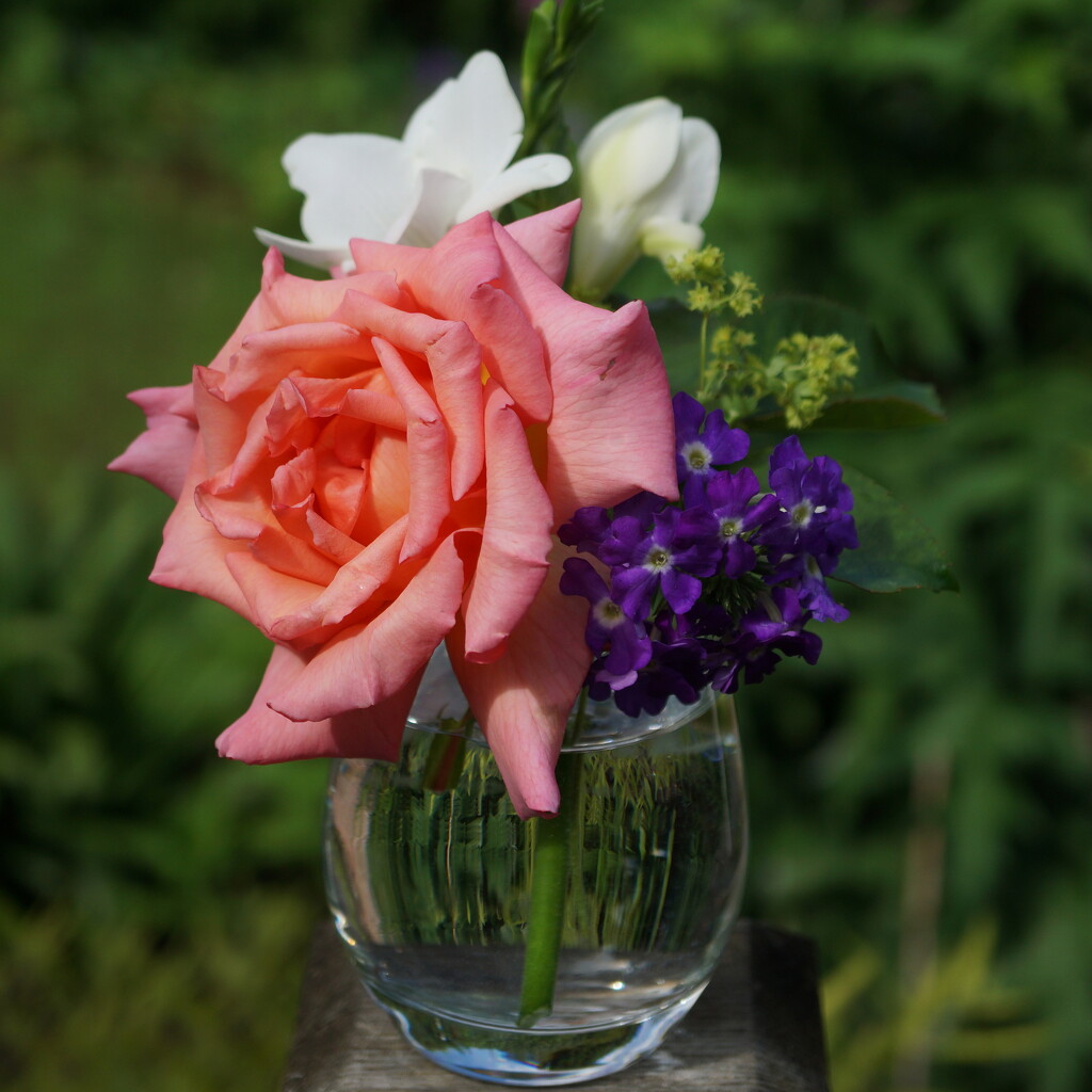 a few flowers in a vase  by quietpurplehaze