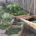 Veg Patch by cataylor41