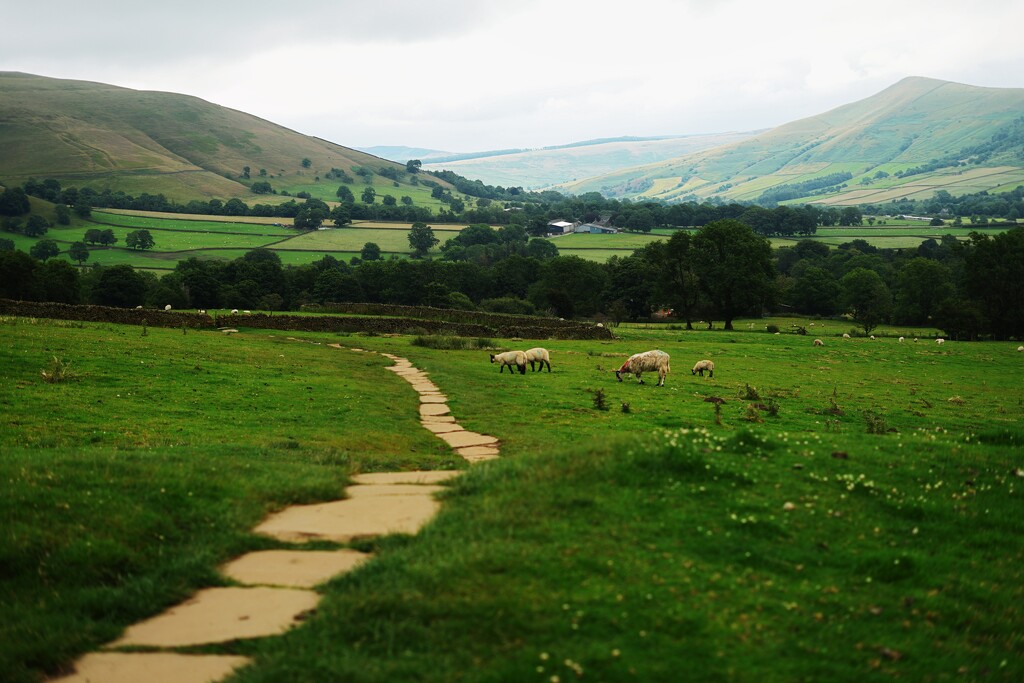 196/366 - Edale, Peak District National Park by isaacsnek