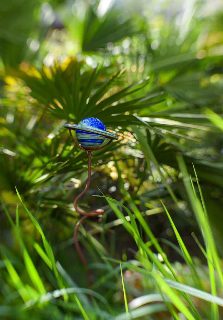 Saturn in the bush by tiaj1402