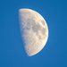 The Moon Today by augusto