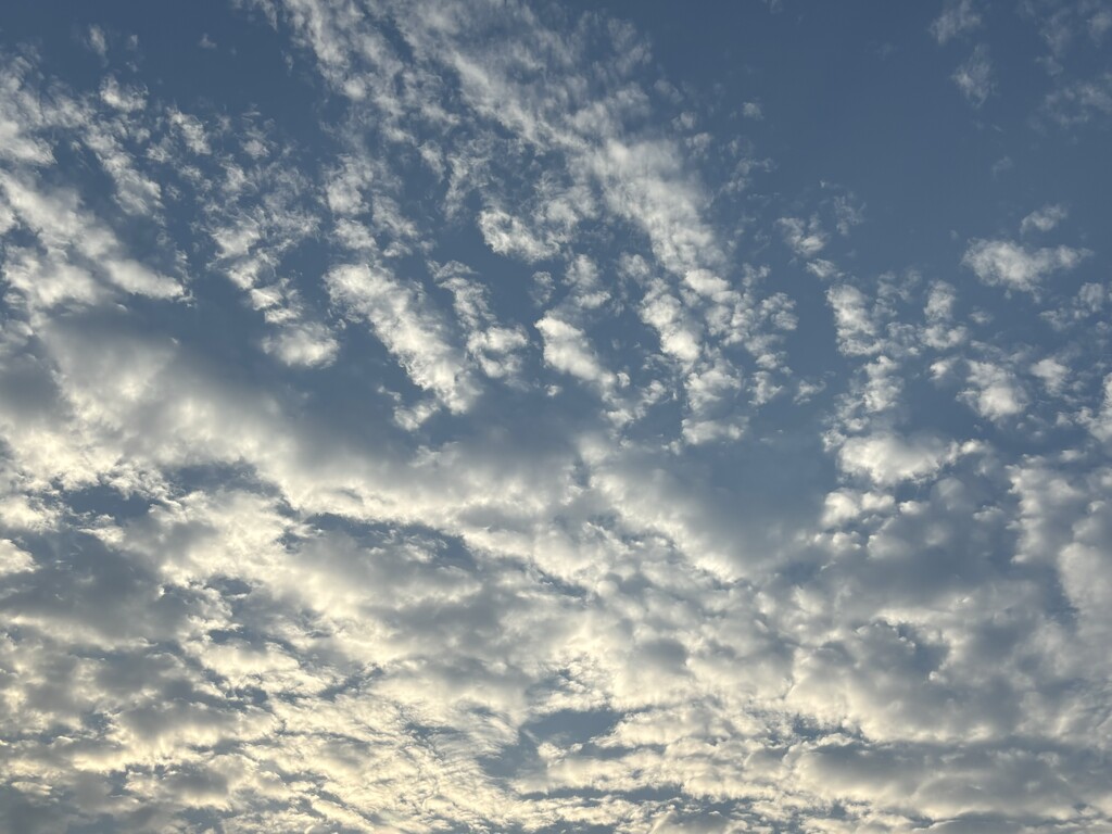 Evening clouds by pirish