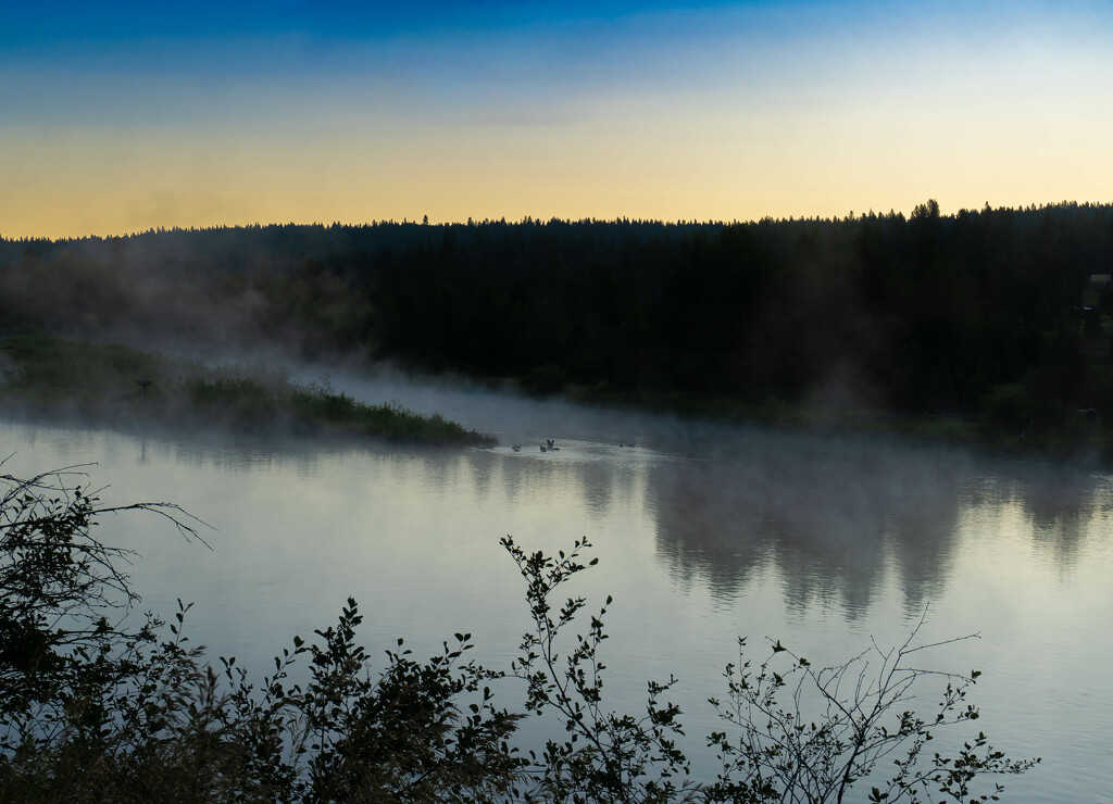 Morning Mist Over the River by veronicalevchenko