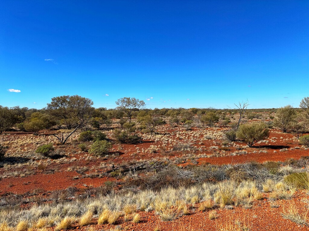 Desert landscape by pusspup