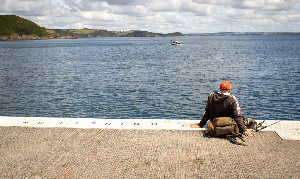 One man and his dog by swillinbillyflynn