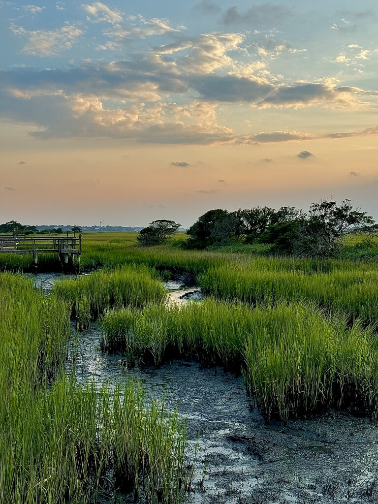 Marsh sunset 2 by congaree