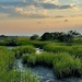 Marsh sunset 2 by congaree