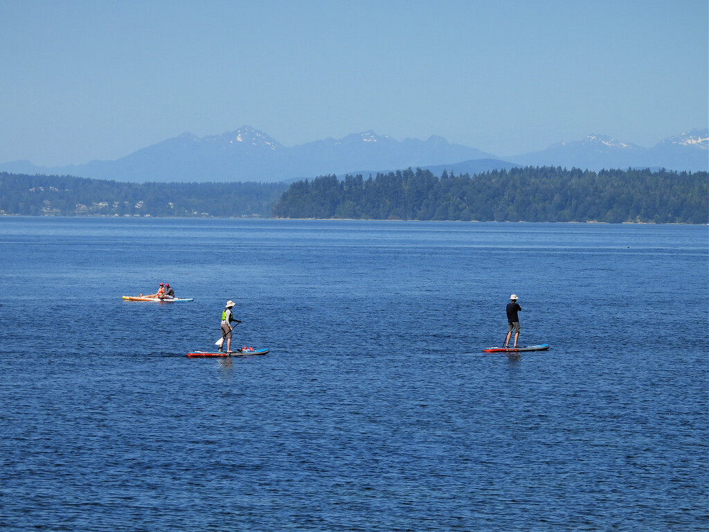 Puget Sound  by seattlite