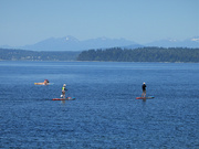 15th Jul 2024 - Puget Sound 