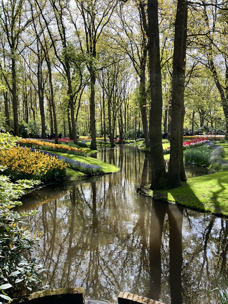 Keukenhof Gardens, Netherlands  by tara11