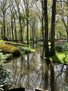 26th Apr 2024 - Keukenhof Gardens, Netherlands 