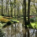 Keukenhof Gardens, Netherlands 