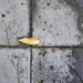 abstract paving by kametty