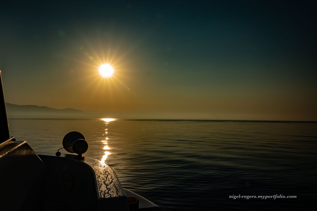 Farewell Paxos by nigelrogers