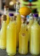 15th Jul 2024 - When life gives you lemons... make limoncello ;)