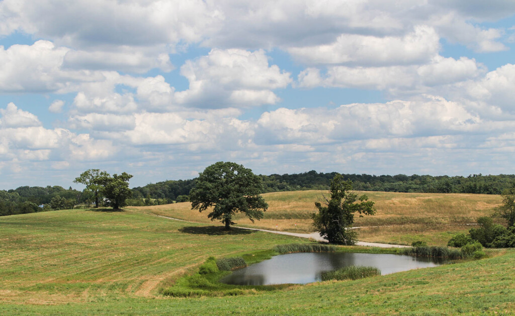 Scenery in Pennsylvania with a pond by mittens