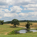 Scenery in Pennsylvania with a pond by mittens