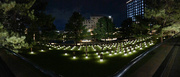 7th Jul 2024 - OKC National Memorial at night