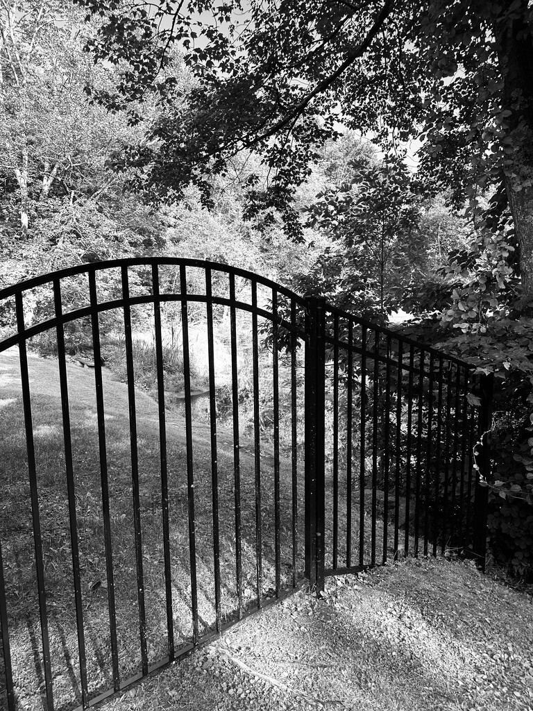 Gate by pjbedard