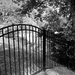 Gate by pjbedard