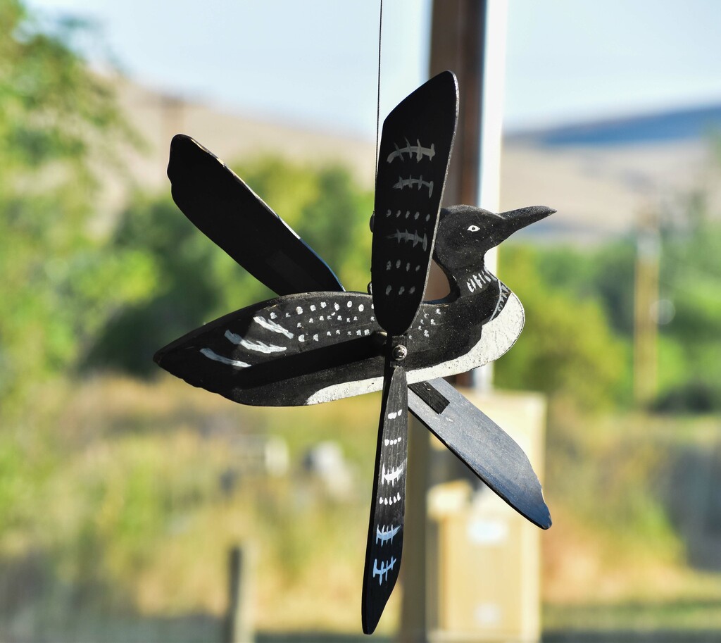 Loon Whirligig by bjywamer