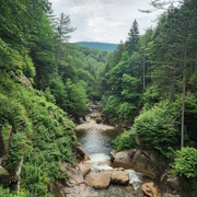 10th Jul 2024 - Flume Gorge