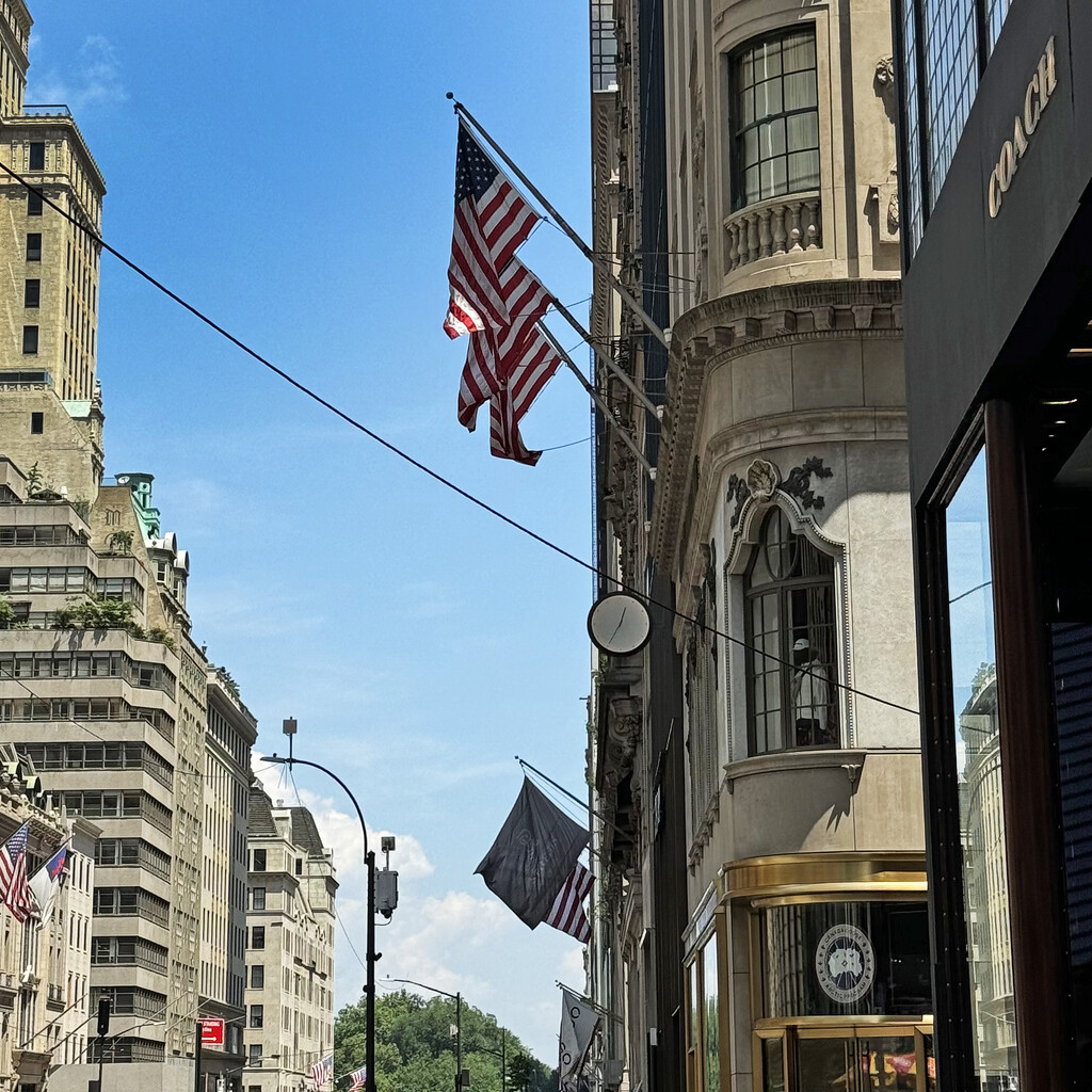 Flags On 5th Avenue For The 4th by yogiw